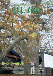 広報はしかみ　2010年11月号　表紙