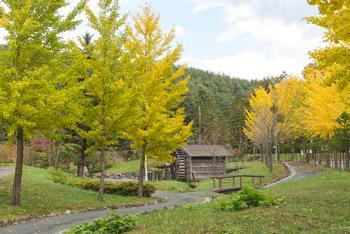 ふるさと河川公園